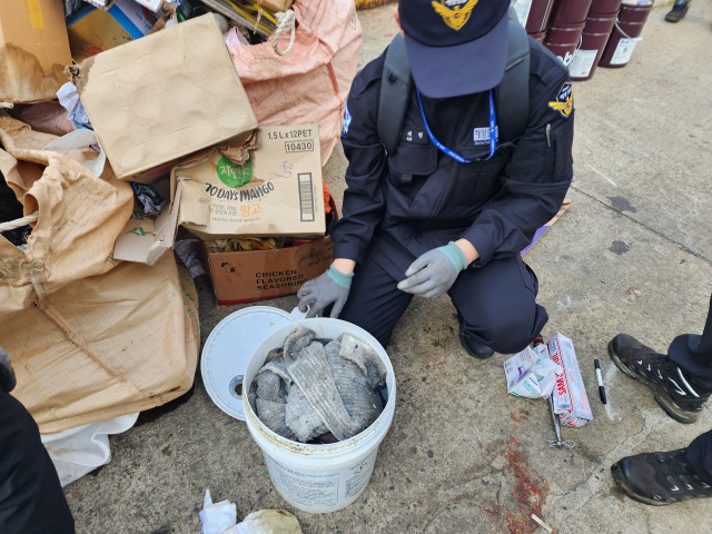 부산 감천항에 기름을 유출한 뒤 이를 숨기려 한 러시아 선박이 48시간 만에 해경에 붙잡혔다. 사진은 해당 선박 폐유통 기름 채취 모습. 부산해양경찰서 제공.