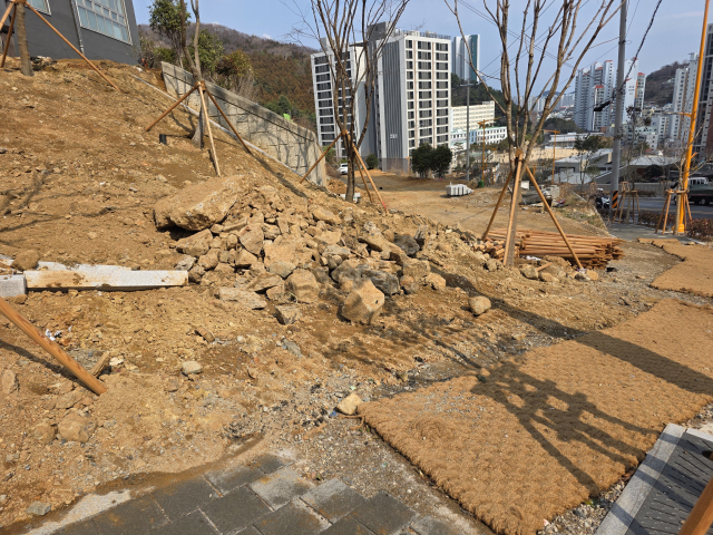지난 13일 오후 부산 남구 신연초등학교 통학로 모습. 포장이 덜 된 도로 옆 성인 남성 머리 크기를 넘는 돌이 방치돼 있다. 김재량 기자 ryang@