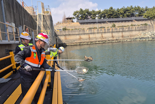 한국남부발전 부산빛드림본부 임직원들이 자넌 17일 부산 사하구 감천항 일대에서 정화활동을 하고 있다. 남부발전 제공