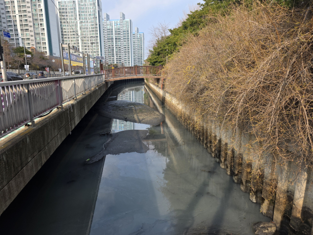 악취 문제로 주민들이 집단 민원을 제기하는 등 지적이 잇따랐던 부산 남구 용호만 일대에 오염토 준설 공사가 진행된다. 사진은 공사를 앞둔 용호천 모습. 김재량 기자 ryang@