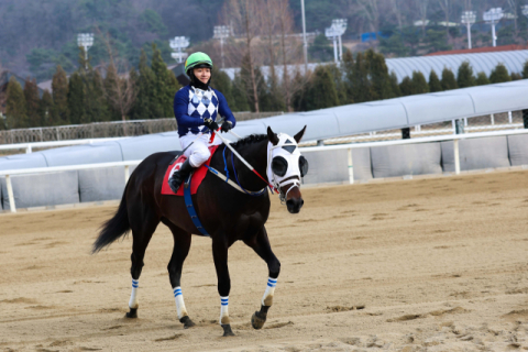 헤럴드경제배, 지난해 그랑프리 우승마 ‘클린원’ 우승