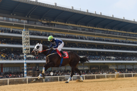 제24회 헤럴드경제배에서 우승한 클린원과 서승운 기수.