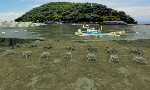 저층 집중공간 활용 기법 모식도(예시).