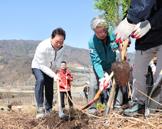박완수 경남지사가 20일 산불피해지 경남 산청군 시천면에서 편백을 심고 있다. 경남도 제공