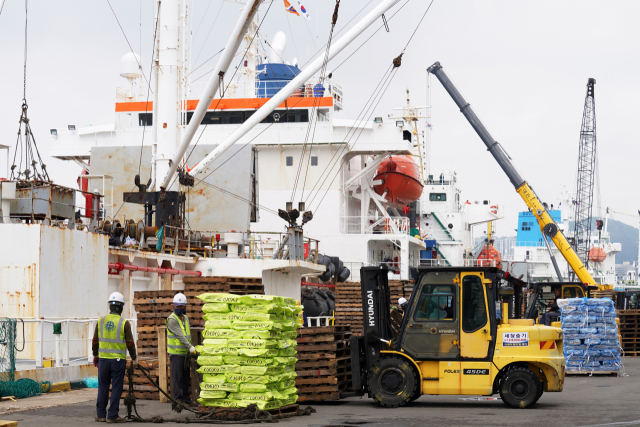 2024년 4월 30일 부산 감천항에서 원양 오징어 초도물량 하역작업이 이뤄지고 있다. 해수부 제공