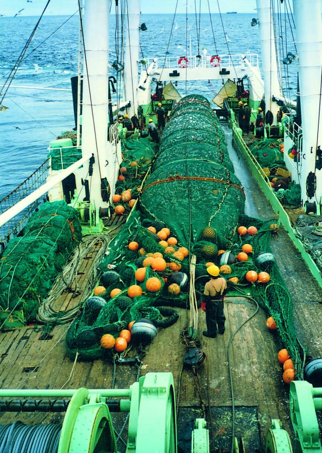 북태평양트롤 명태 원양어선 조업 장면. 부산일보DB