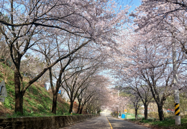충남 서산 왕산마을. 어촌어항공단 제공