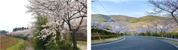 경남 사천 비토마을(왼쪽), 경남 거제 옥계마을(오른쪽). 어촌어항공단 제공