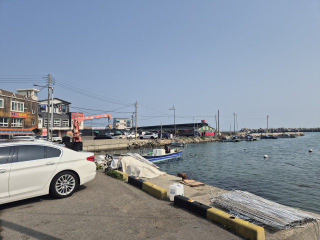 지난 24일 차량 추락 사고가 발생한 부산 기장군 월전항 선박 접안 공간에 차량 추락 방지를 위한 20cm 높이의 차막이가 설치돼 있다.