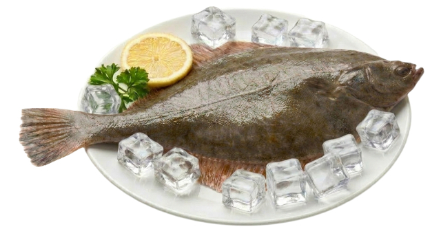 가자미. 해수부 제공