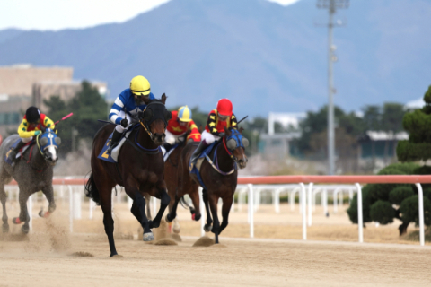 2025년 루나Stakes 경주 장면.