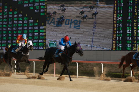 KRA컵 마일 우승마 3번 '퍼니와일드'와 '서승운' 기수.