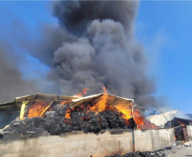 2일 오후 2시 49분 함안군 함안면 한 소 축사에서 시커먼 연기와 함께 불길이 치솟고 있다. 경남소방본부 제공