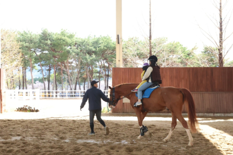 렛츠런파크 부산경남-부산시, 다자녀가정 대상 ‘말 교감 체험’ 선사