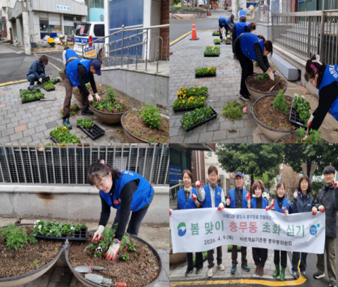 서구 충무동 바르게살기운동위원회, 100년 가로공원 봄 초화 식재