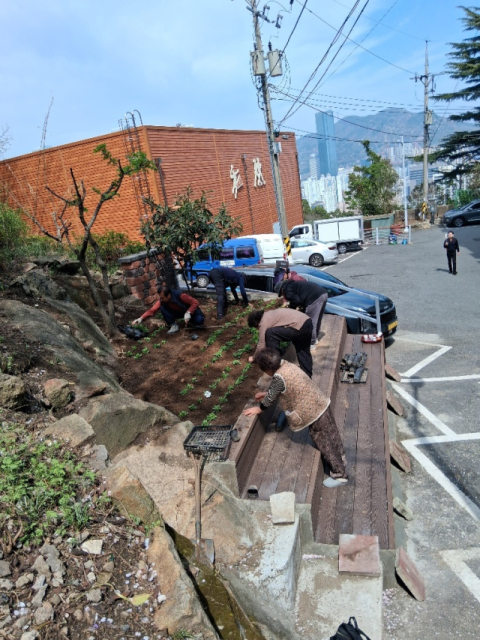 동구 좌천아파트 입주민 단체, 불결지를 화단으로 새 단장