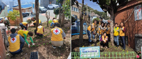 서구 초장동 적십자봉사회, 봄맞이 초화 식재