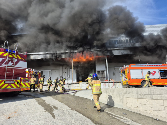 12일 오전 전남 완도군 한 수산물 가공업체 냉동창고에서 불이 나 현장에서 화재 진압 작업을 하던 완도소방서 소속 A 소방위와 해남소방서 소속 B 소방사가 숨졌다. 연합뉴스