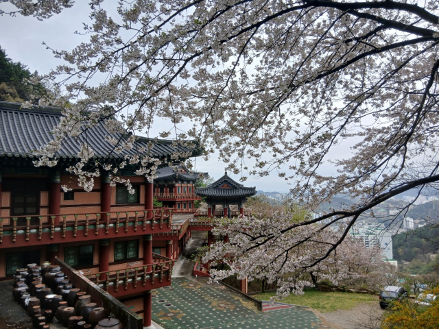 대한불교 조계종 해인정사는 오는 19일 오전 11시 부산 사하구 괴정동 해인선센터 ‘선림원’ 개원식을 갖는다. 최인호 불자 제공