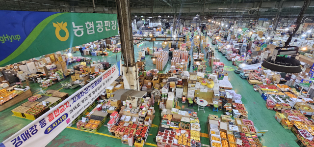 부산 해운대구 반여동 반여농산물도매시장은 매일 새벽 200여 종의 과일과 채소가 거래된다. 김한수 기자 hangang@