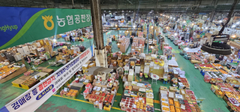 [농산물도매시장 알뜰 장보기]모든 것이 오르는 '고물가 시대', 우리는 농산물 도매시장으로 간다!