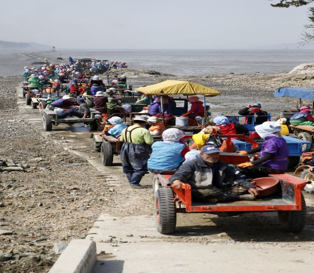 바지락 채취작업 모습. 어촌어항공단 제공