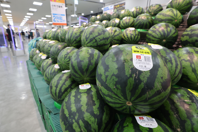 대형마트에 진열된 수박. 홈플러스 제공