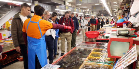 외국인 관광객 500만 시대 코앞… 해외서 ‘핫플’ 된 부산 [부산은 열려 있다]