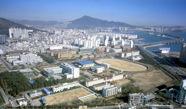 국립부경대 과거 사진