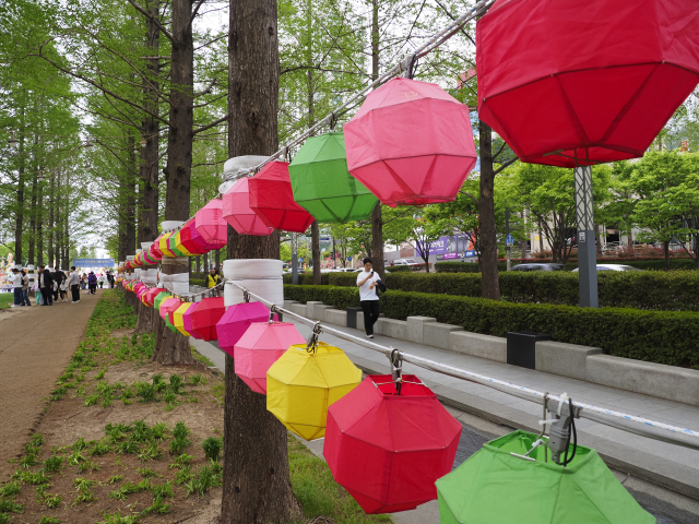 2025 부산연등회 모습. 부산불교연합회 제공