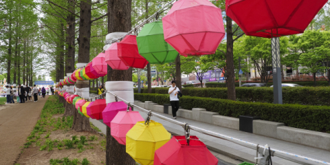“마음은 평안으로, 세상은 화합으로”…부산연등회 5월 1일 개막