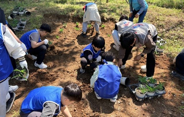 5월 4일 광양지역 아이들이 멸종위기종 대청부채를 심고 있다. 한국도로공사 제공