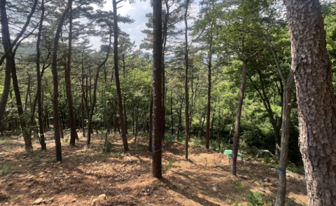 ‘장묘시설 포화’ 김해시, 공설자연장지 개장 하반기로 연기