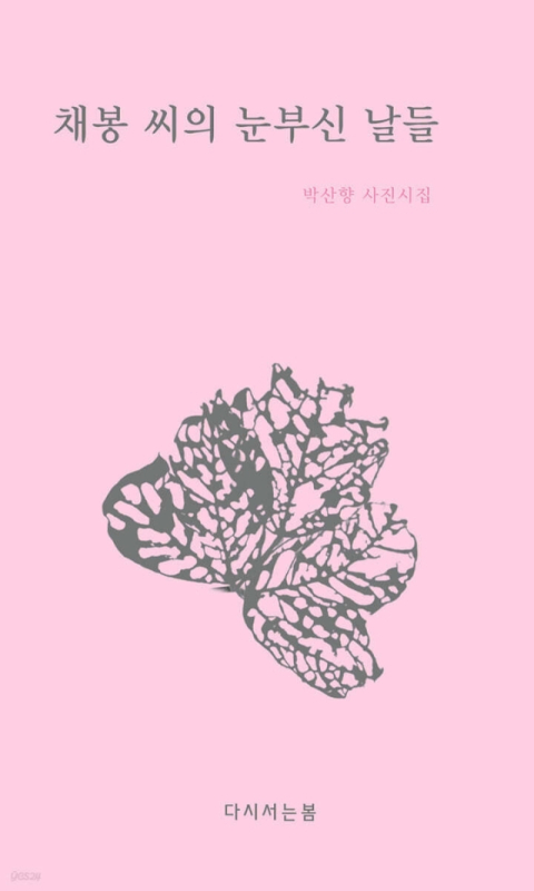 박산향 교수의 사진시집 『채봉 씨의 눈부신 날들』 책표지.