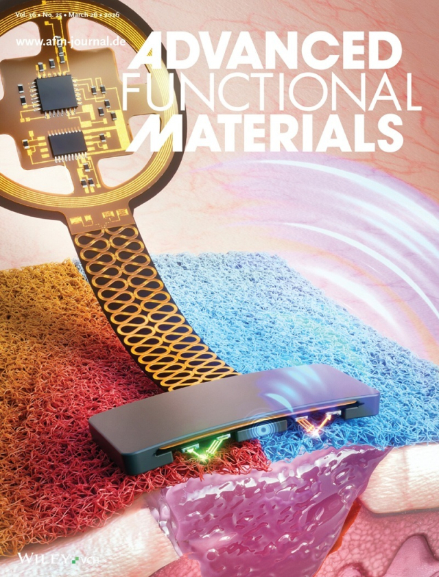 국제학술지 ‘어드밴스드 펑셔널 머터리얼즈(Advanced Functional Materials)’ 표지 논문(Front Cover) 표지 이미지. KAIST 제공