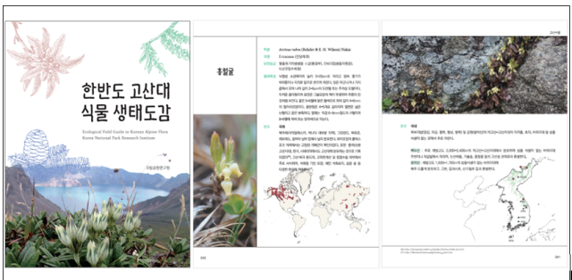 한반도 고산대 식물 생태도감. 기후에너지환경부 제공