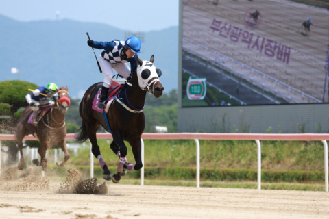 적수 없는 독주 ‘클린원’… 부산광역시장배 우승