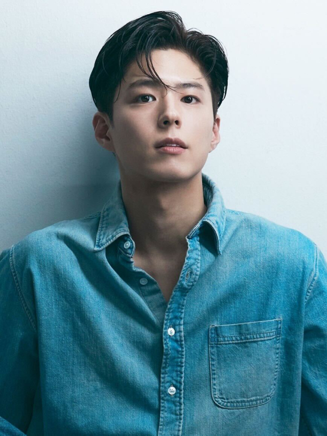 애니매이션 '다윗' 한국어판 더빙에 참여한 배우 박보검. 롯데엔터테인먼트 제공
