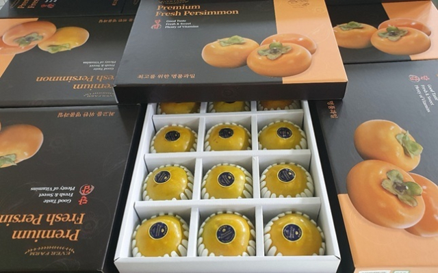 경남의 집중육성 작물 단감.