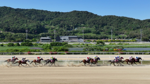 렛츠런파크 부산경남 경주 장면.