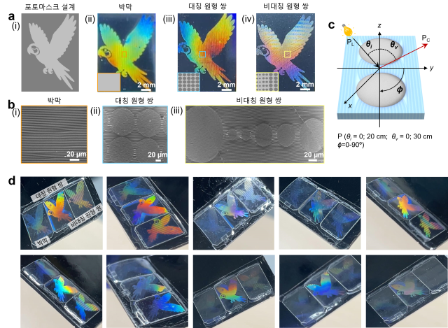 주름 구조별 앵무새 보안 이미지의 색 변화. 보는 각도에 따라 필름 위 앵무새 이미지의 색이 달라진다. UNIST 제공