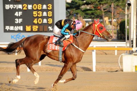 2012년 11월 11일 당대불패 대통령배 우승 모습. 한국마사회 제공