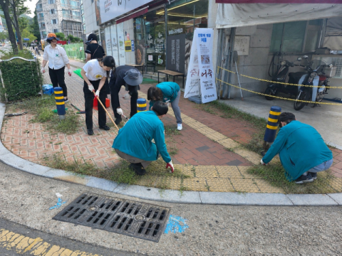 부산진구 초읍동, 성지곡로 일원 잡풀 제거 환경정비 실시