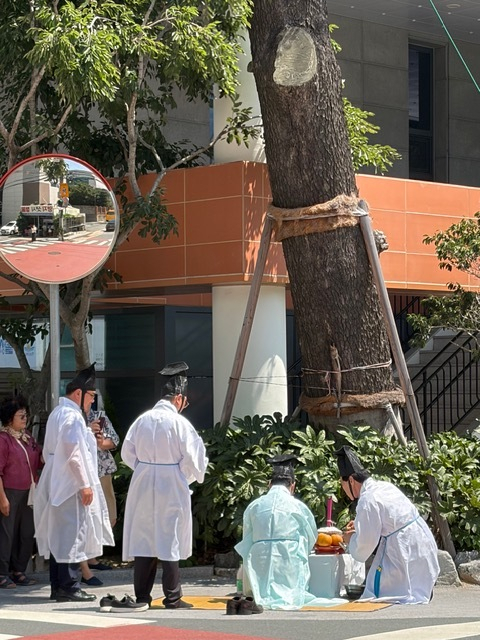 북구 구포1동, 고사목 정비 앞두고 ‘안전 기원제’ 개최
