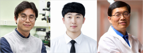 부산대 엄태중 교수팀, 고신뢰도 산소포화도 광음향 영상 기술 개발