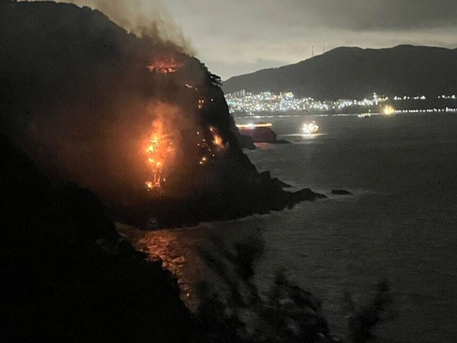 암남공원 해안절벽서 산불. 부산소방본부 제공
