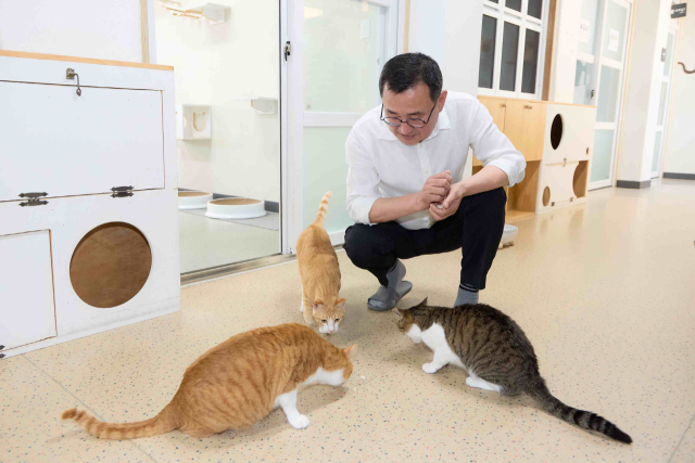 통영시는 지난 8일과 9일 한산면 용호도에서 제2회 고양이섬의날 축제를 열었다. 통영시 제공
