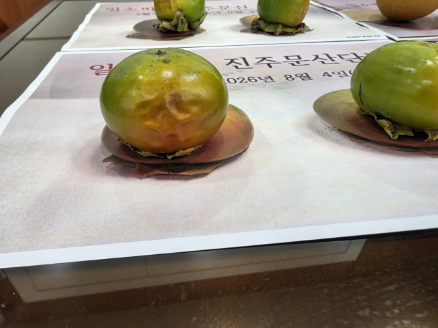 폭염과 가뭄으로 과일 일소 피해가 발생하는 등 작황이 부진해 추석 과일값 상승이 우려된다.