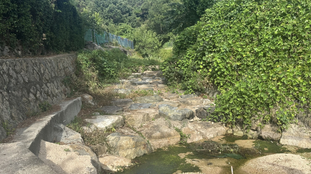 14일 오후 부산 북구 만덕동 사기마을로 생활 용수를 공급하는 사기천이 바짝 말라 바닥을 드러내고 있다. 이예슬 기자 ys@