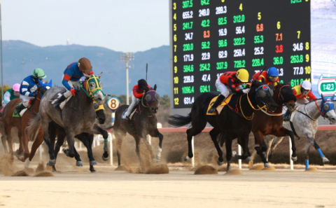한국마사회 영남지역본부, 9월 경마시행계획 발표… 권역형 순회 경마 시작